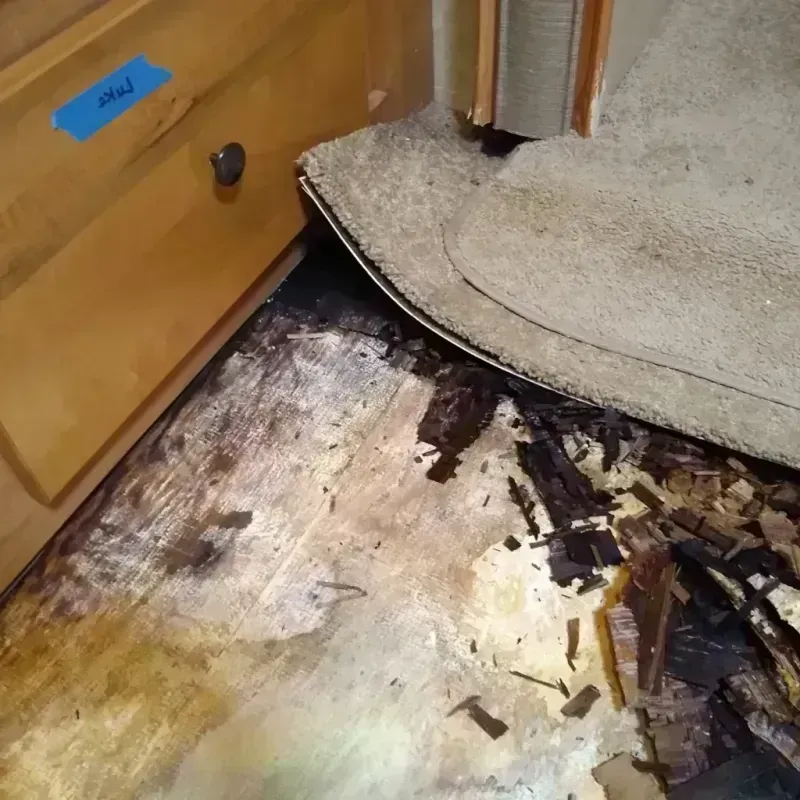 Wood Floor Water Damage in Council Bluffs, IA